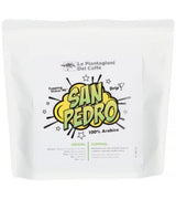 Disruptive Mexico San Pedro - 250g Ziarnista