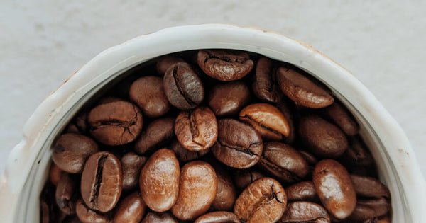 Arabica i Robusta - czym różnią się te dwa gatunki kawy?